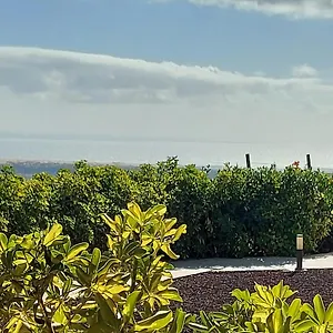 The Black Horse Canarias - Adults Only España